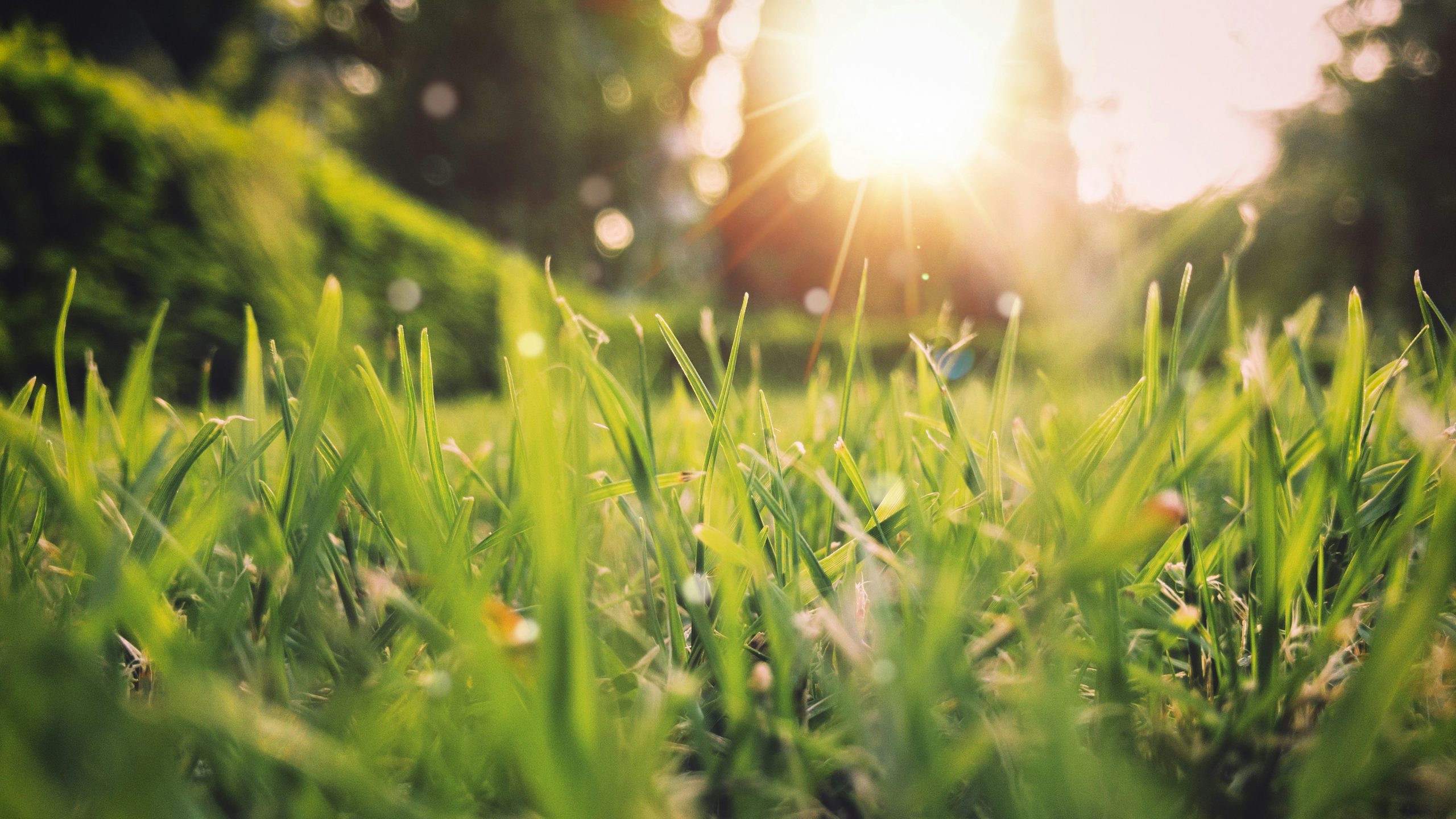 The Gospel Message: Creation